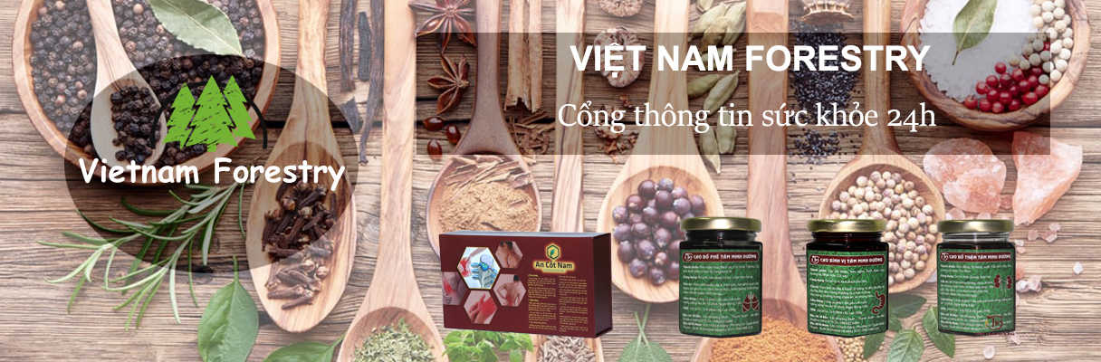 Việt Nam Forestry Blog