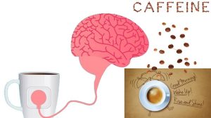 Cơ chế hoạt động Caffeine